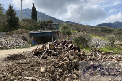 Terra a Monreale, Palermo, Monreale - € 55.000 | Ref: v.18 - foto 15