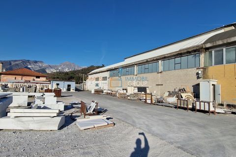 Erhvervsejendom i Massa, Massa and Carrara, Massa - € 750.000 | Ref: 2544 - foto 1