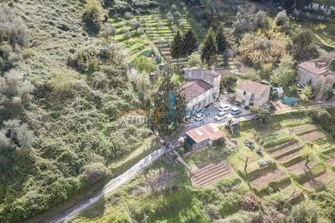 Byhus i Carrara, Massa and Carrara, Carrara - € 110.000 | Ref: 2224 - foto 4