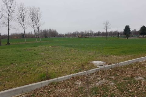 Terra a Noale, Venice, Noale - € 160.000 | Ref: BRIAV1581 - foto 3
