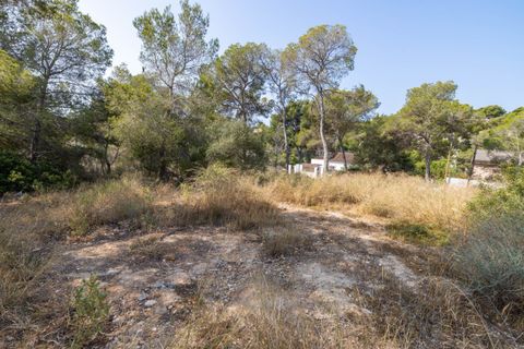 Terra a Cala Vinyes, Mallorca, Cala Vinyes - € 995.000 | Ref: SWOCAV0275 - foto 2