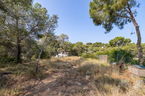 Terra a Cala Vinyes, Mallorca, Cala Vinyes - € 995.000 | Ref: SWOCAV0275 - foto 3