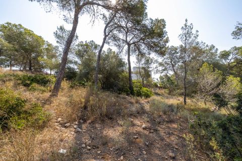 Terra a Cala Vinyes, Mallorca, Cala Vinyes - € 995.000 | Ref: SWOCAV0275 - foto 4