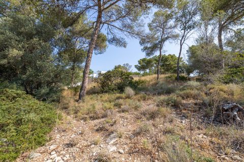 Terra a Cala Vinyes, Mallorca, Cala Vinyes - € 995.000 | Ref: SWOCAV0275 - foto 7