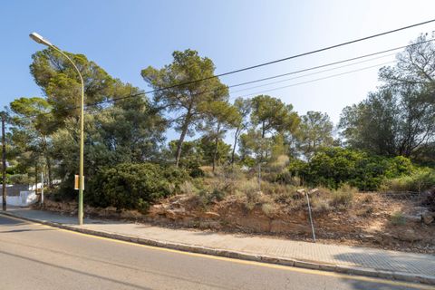 Terra a Cala Vinyes, Mallorca, Cala Vinyes - € 995.000 | Ref: SWOCAV0275 - foto 8