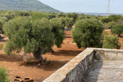 Landejendom i Ostuni, Brindisi, Ostuni - € 2.200.000 | Ref: 228 - foto 45