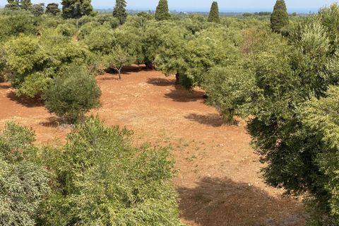 Landejendom i Ostuni, Brindisi, Ostuni - € 2.200.000 | Ref: 228 - foto 7