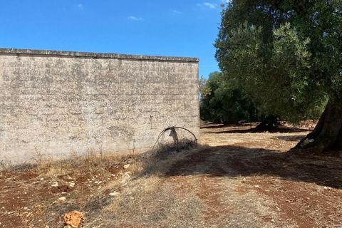 Landejendom i Ostuni, Brindisi, Ostuni - € 2.200.000 | Ref: 228 - foto 43