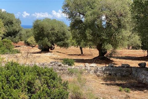 Landejendom i Ostuni, Brindisi, Ostuni - € 2.200.000 | Ref: 228 - foto 44