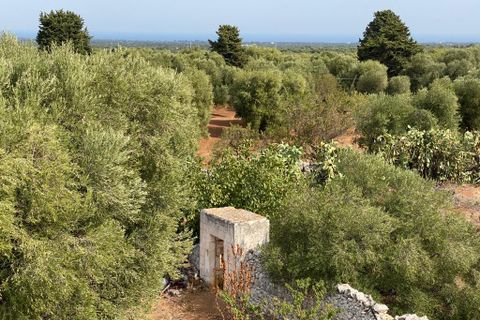 Landejendom i Ostuni, Brindisi, Ostuni - € 2.200.000 | Ref: 228 - foto 8