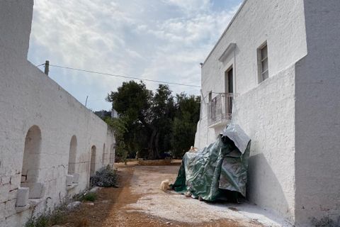 Landejendom i Ostuni, Brindisi, Ostuni - € 2.200.000 | Ref: 228 - foto 3