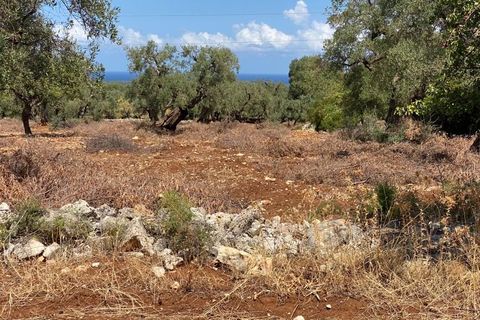 Landejendom i Ostuni, Brindisi, Ostuni - € 2.200.000 | Ref: 228 - foto 46