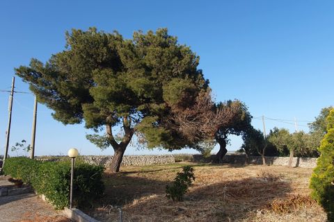 Villa i Modica, Ragusa, Modica - € 165.000 | Ref: 11224 - foto 4