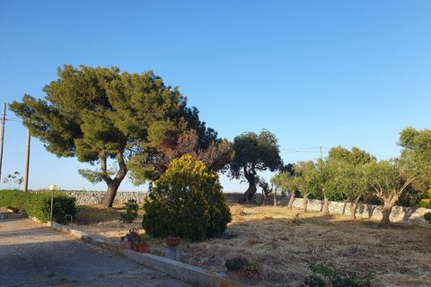 Villa i Modica, Ragusa, Modica - € 165.000 | Ref: 11224 - foto 21