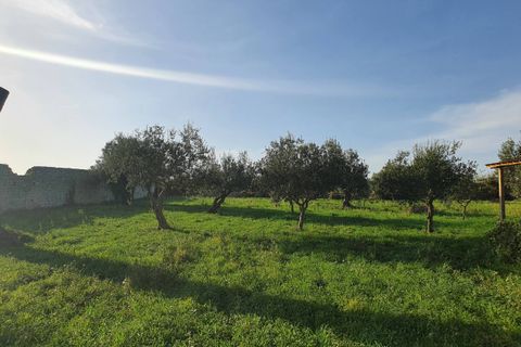 Lejlighed i Modica, Ragusa, Modica - € 200.000 | Ref: 11130 - foto 5