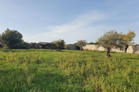 Lejlighed i Modica, Ragusa, Modica - € 200.000 | Ref: 11130 - foto 21