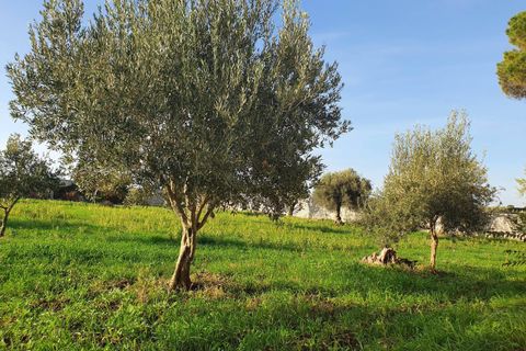 Lejlighed i Modica, Ragusa, Modica - € 200.000 | Ref: 11130 - foto 22