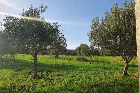 Lejlighed i Modica, Ragusa, Modica - € 200.000 | Ref: 11130 - foto 23