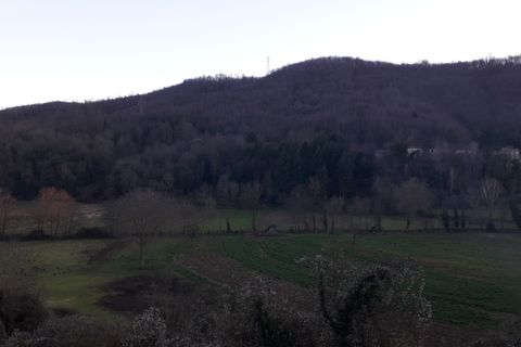 Byhus i Decollatura, Catanzaro, Decollatura - € 25.000 | Ref: 36 - foto 8