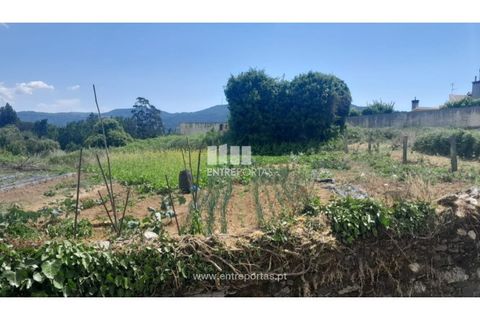 Helårsgrund i Caminha, Viana do Castelo, Caminha - € 120.000 | Ref: C02671 - foto 1