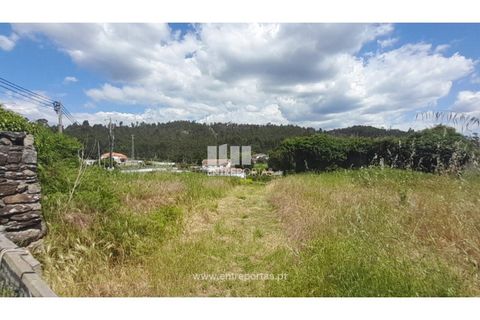 Helårsgrund i Caminha, Viana do Castelo, Caminha - € 120.000 | Ref: C02671 - foto 4