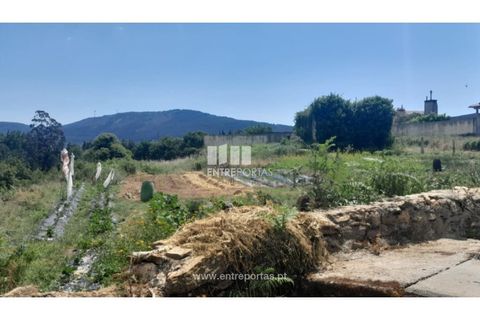 Helårsgrund i Caminha, Viana do Castelo, Caminha - € 120.000 | Ref: C02671 - foto 6