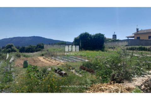 Helårsgrund i Caminha, Viana do Castelo, Caminha - € 120.000 | Ref: C02671 - foto 9