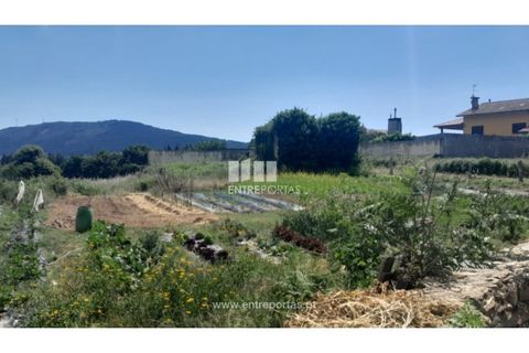 Helårsgrund i Caminha, Viana do Castelo, Caminha - € 120.000 | Ref: C02671 - foto 10