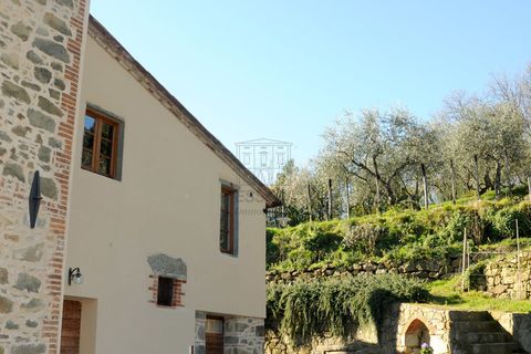 Villa a Pescia, Pistoia, Pescia - € 1.300.000 | Ref: IA00900 - foto 27