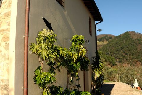 Villa a Pescia, Pistoia, Pescia - € 1.300.000 | Ref: IA00900 - foto 31