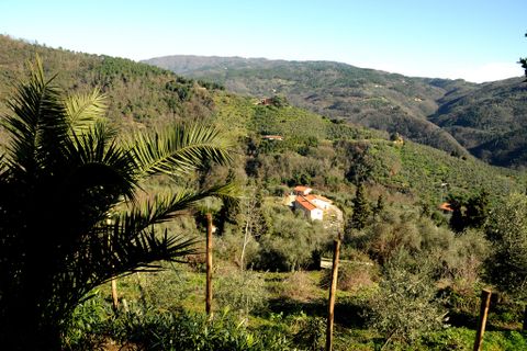 Villa a Pescia, Pistoia, Pescia - € 1.300.000 | Ref: IA00900 - foto 34