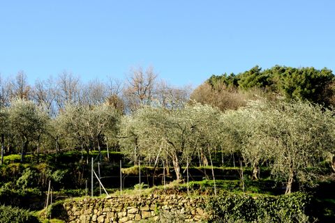 Villa a Pescia, Pistoia, Pescia - € 1.300.000 | Ref: IA00900 - foto 35