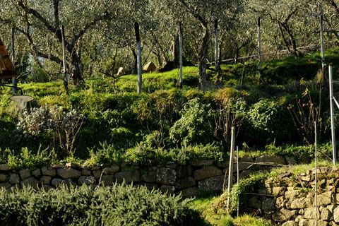 Villa a Pescia, Pistoia, Pescia - € 1.300.000 | Ref: IA00900 - foto 36