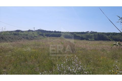 Helårsgrund i Belinho, Braga, Belinho - € 26.500 | Ref: 039230081 - foto 1