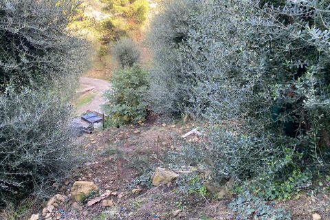 Villa a Ventimiglia, Imperia, Ventimiglia - € 75.000 | Ref: 22151 - foto 5