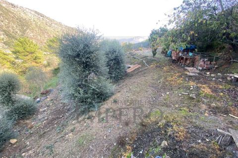 Villa a Ventimiglia, Imperia, Ventimiglia - € 75.000 | Ref: 22151 - foto 13