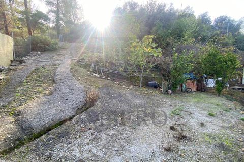 Villa a Ventimiglia, Imperia, Ventimiglia - € 75.000 | Ref: 22151 - foto 20