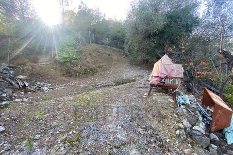 Villa a Ventimiglia, Imperia, Ventimiglia - € 75.000 | Ref: 22151 - foto 22