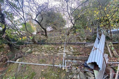 Villa a Ventimiglia, Imperia, Ventimiglia - € 75.000 | Ref: 22151 - foto 23