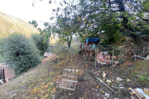 Villa a Ventimiglia, Imperia, Ventimiglia - € 75.000 | Ref: 22151 - foto 24
