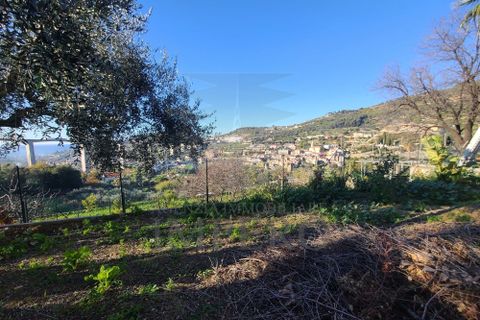 Villa i Bordighera, Imperia, Bordighera - € 320.000 | Ref: 21795 - foto 5