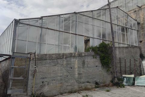 Villa a Camporosso, Imperia, Camporosso - € 610.000 | Ref: 21965 - foto 5