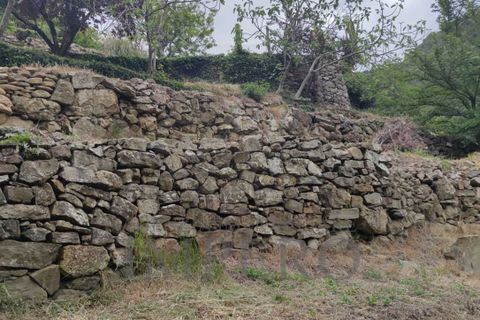 Villa i Dolceacqua, Imperia, Dolceacqua - € 510.000 | Ref: 21958 - foto 4