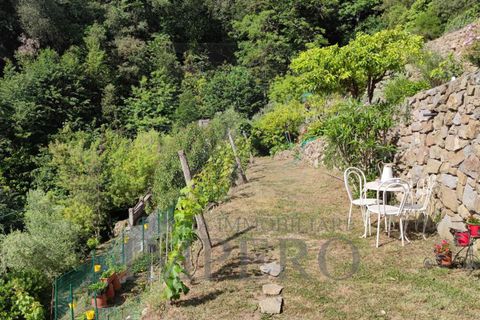 Villa i Dolceacqua, Imperia, Dolceacqua - € 510.000 | Ref: 21958 - foto 11