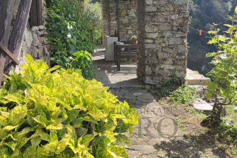 Villa i Dolceacqua, Imperia, Dolceacqua - € 510.000 | Ref: 21958 - foto 12