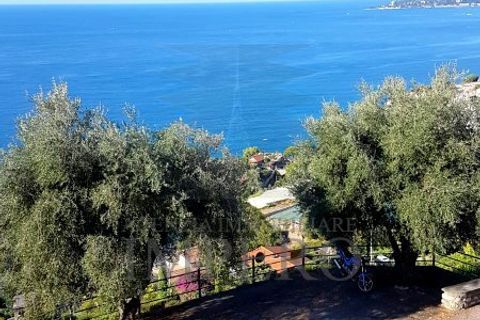 Helårsgrund i Ventimiglia, Imperia, Ventimiglia - € 300.000 | Ref: 20808 - foto 2