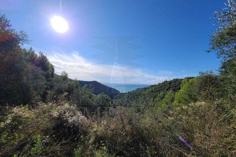 Terra a Camporosso, Imperia, Camporosso - € 45.000 | Ref: 21501 - foto 2