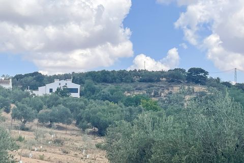 Cortijo i Antequera, Malaga, Antequera - € 475.000 | Ref: 428-01498P - foto 11