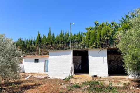Cortijo i Antequera, Malaga, Antequera - € 475.000 | Ref: 428-01498P - foto 19