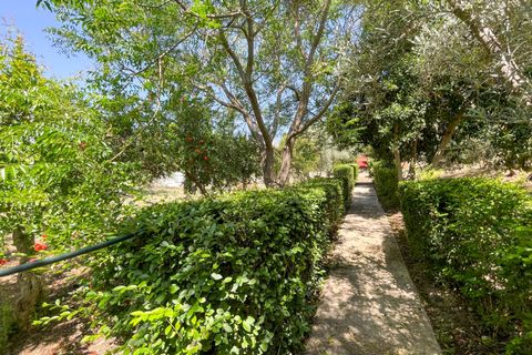 Cortijo i Antequera, Malaga, Antequera - € 475.000 | Ref: 428-01498P - foto 21